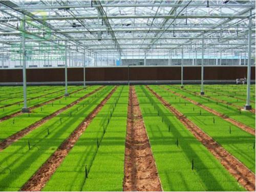 温室大棚选址要求,包头温室大棚建造要求