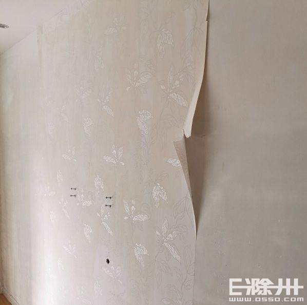 墙纸发霉撕下后墙壁有霉斑,气候潮湿墙纸发霉严重怎么办