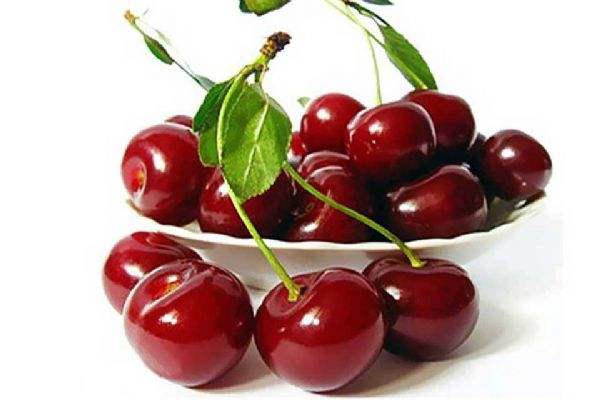 大棚适合种植什么品种樱桃,河北适合种植什么露天樱桃品种