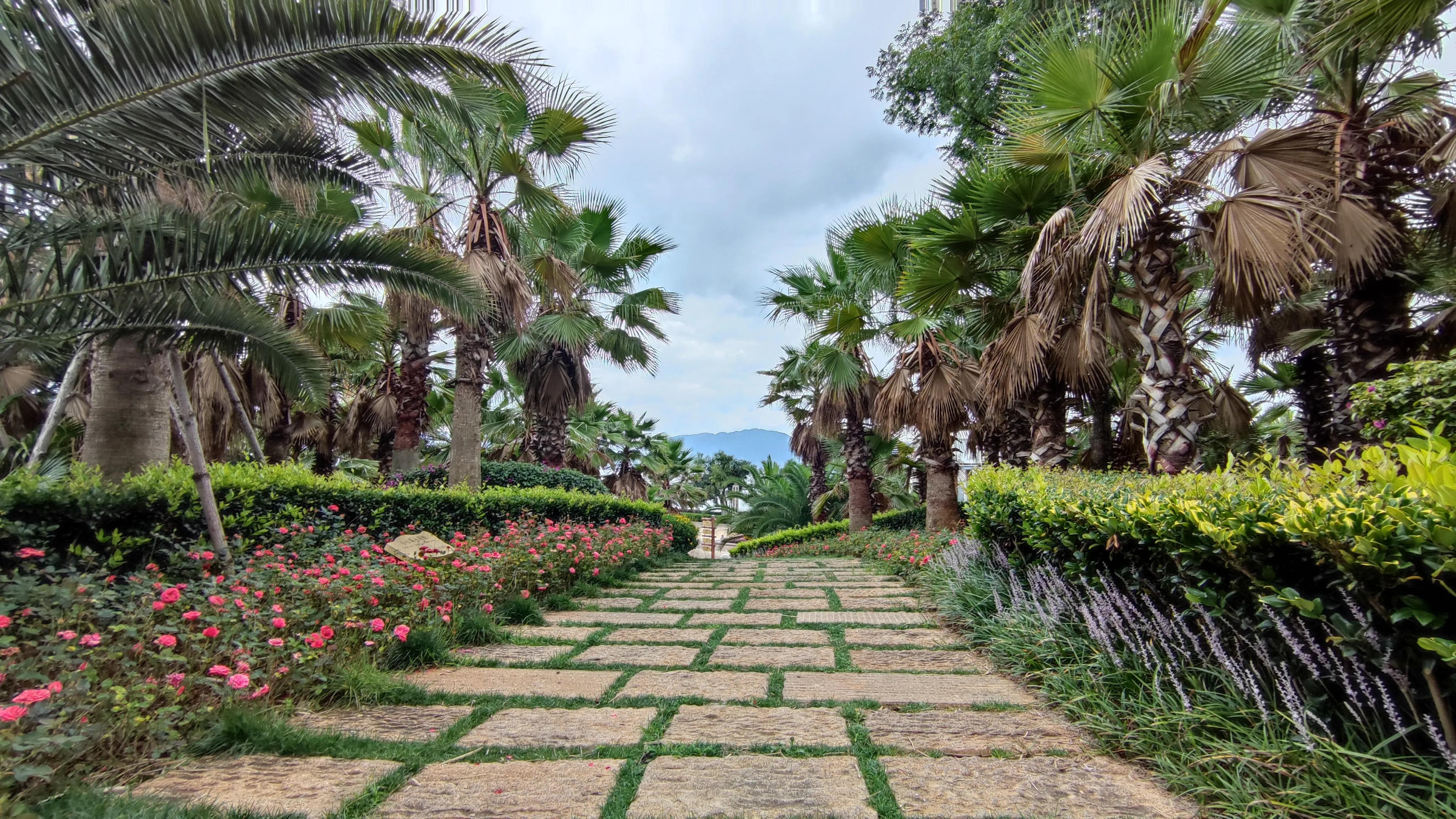 4月抚仙湖樱花谷,抚仙湖樱花谷水下古城