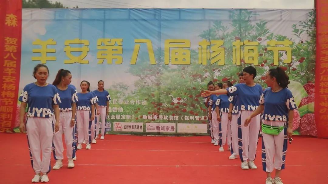 羊安杨梅节直播,羊安杨梅采摘