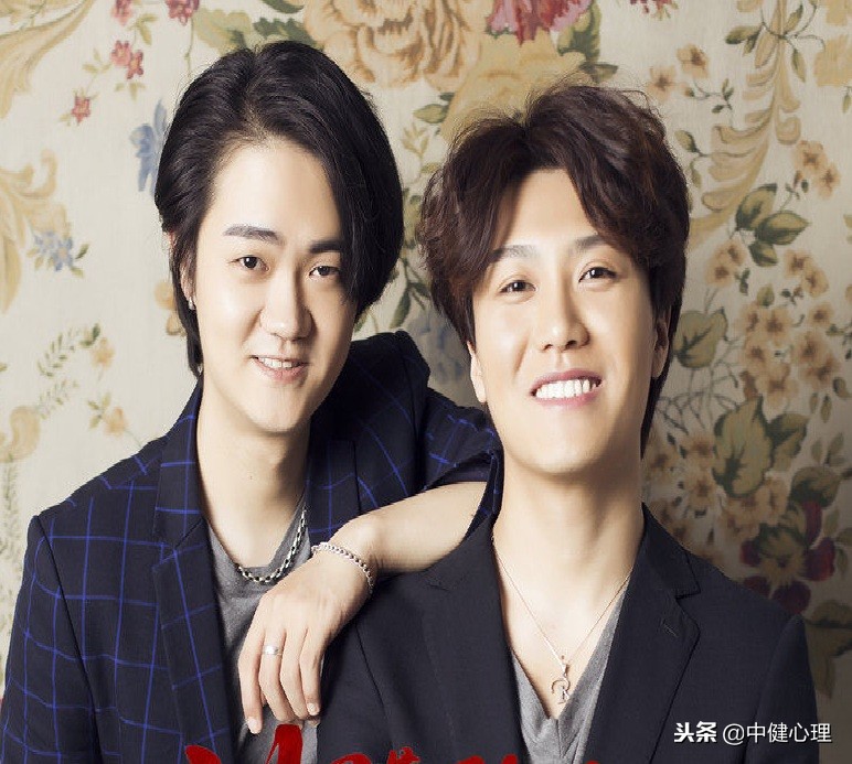 沙漠骆驼是流行歌曲吗,歌曲沙漠骆驼有什么含义