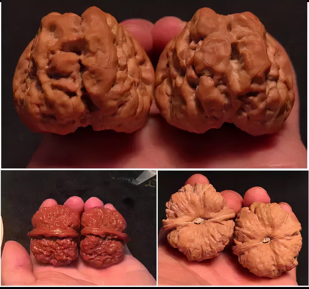 怎样玩核桃视频,新核桃盘玩步骤方法