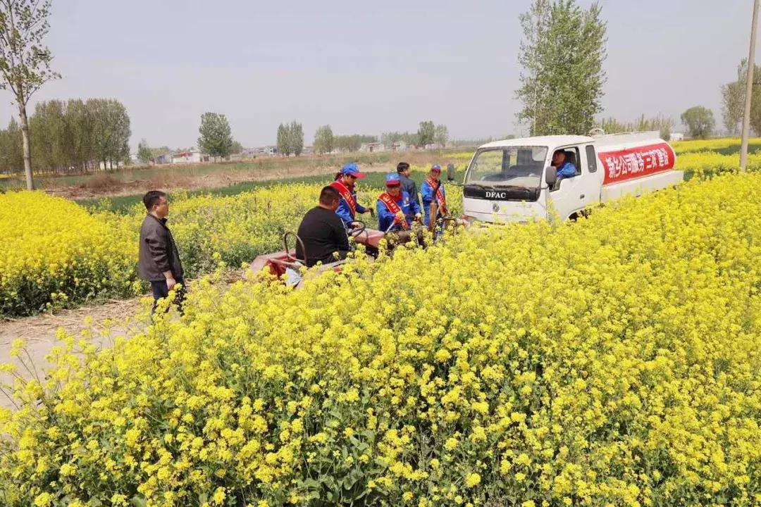 油价如何涨得快点呢,油价如何涨得快些呢