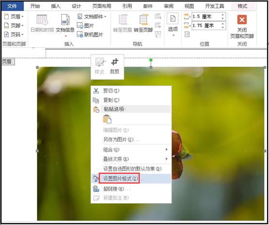 word插入图片怎么平铺全页面,word如何单双页分别插入背景图片