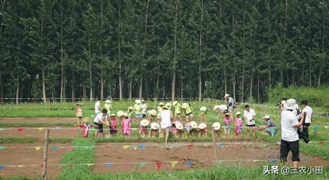 农村创业好项目投资少见效快,农村无需投资的创业项目