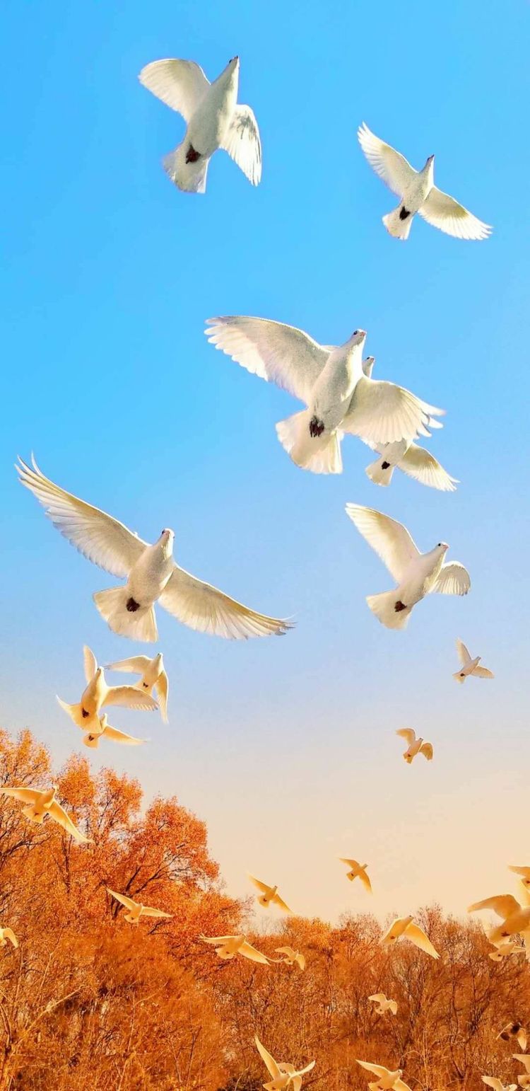 早晨和黄昏时段，手机摄影佳作赏析