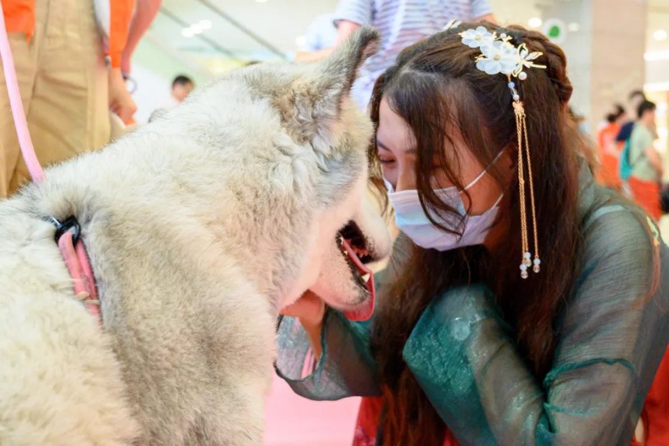 保利MALL 阿派领养日！有只萌宠在call你…