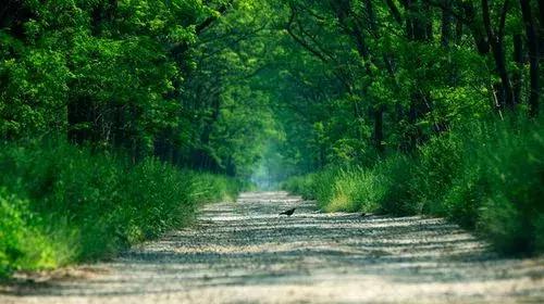 亚洲宜居城市排名2019,中国唯一一个国际评选的宜居城市