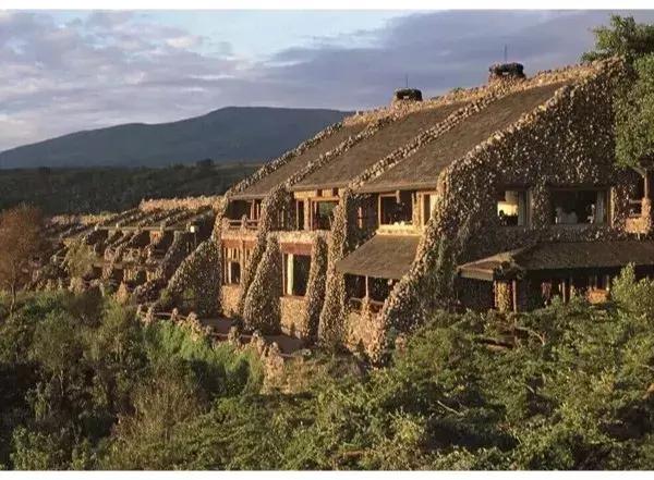 海哥带你游世界｜这周我们去非洲大草原看大西几！