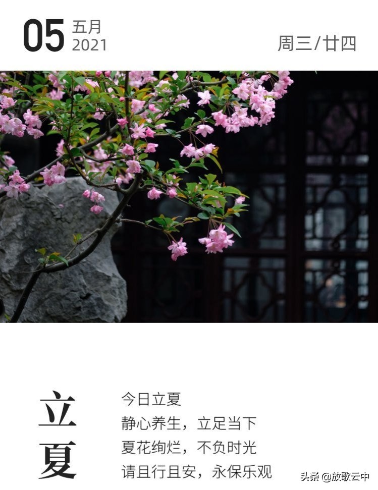 《立夏有约：万物疯长，灼灼灿灿》