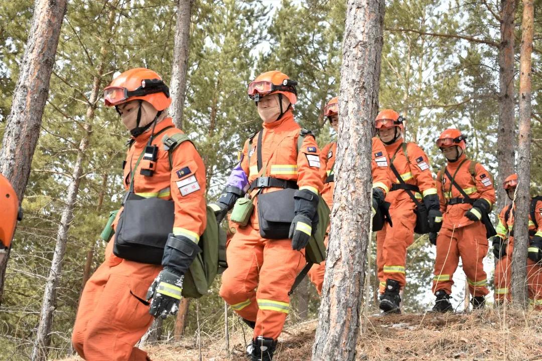 清明节防火宣传新举措,全力确保清明节森林防火安全