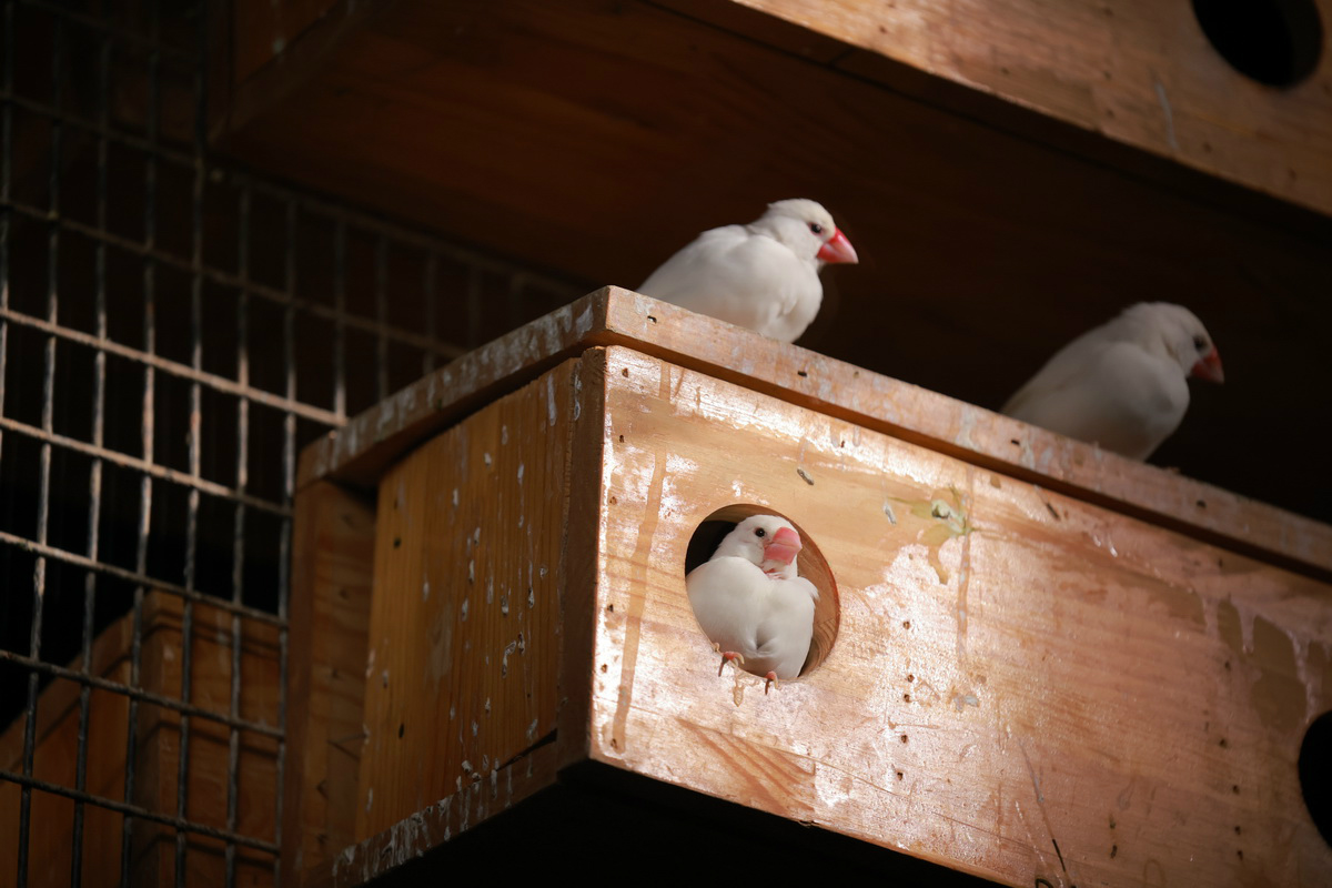 史上最轻便长焦利器佳能RF70-200mmF4L镜头评测