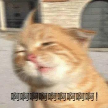 免费吃喝玩乐?爱奇艺最新策划,带你“桃单”啦