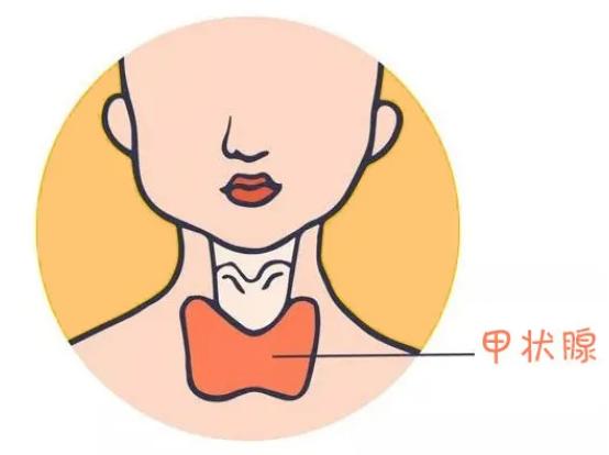 真实案例：警惕建筑材料中致病因素！患者3.9cm甲状腺结节已融合