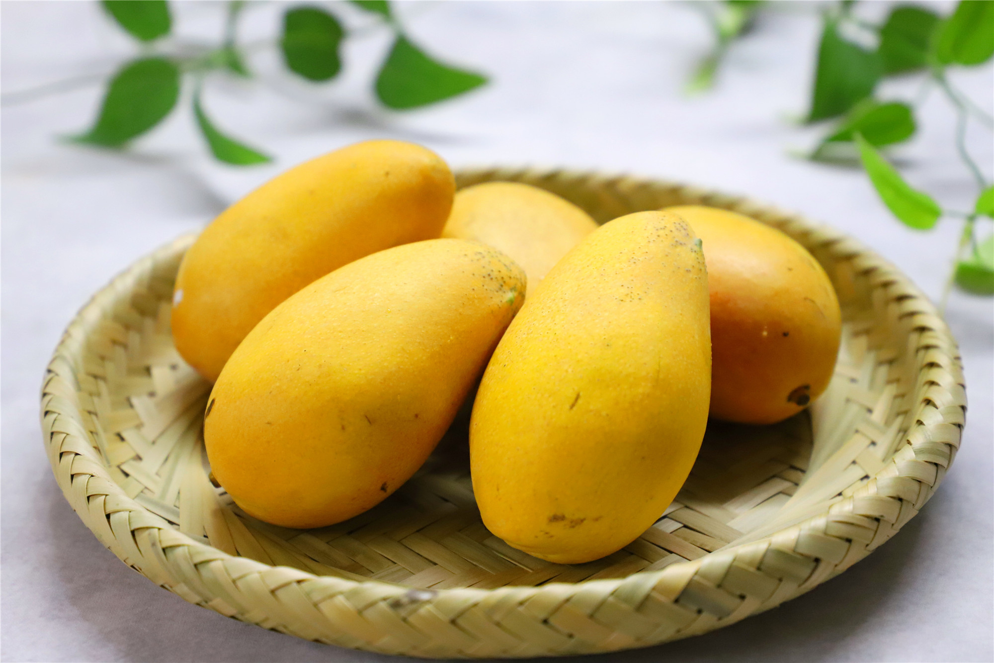 芒果挑选小指南,芒果要如何挑选