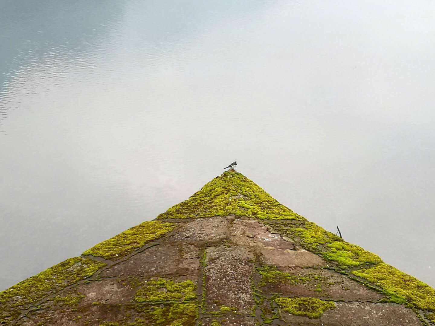 周易起名的九个步骤怎么起名字,取商标名字大全周易