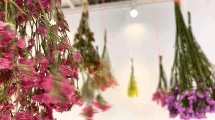 撩炸日韩少女心！风靡韩国的「花草系」咖啡店，韩国明星都爱去！