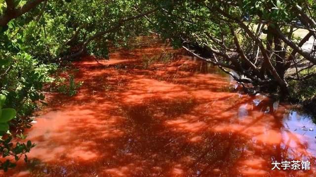 2021年印度下血雨是真的吗,印度下血雨预示什么