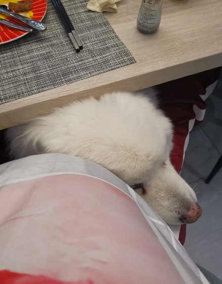 节目主持人李艾个人资料,主持人李艾个人资料简介