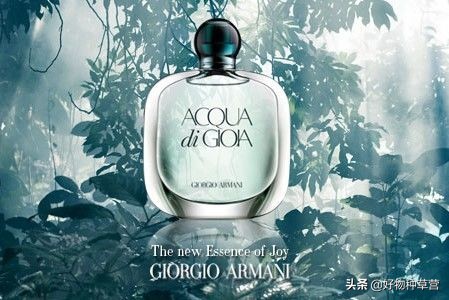 闻香识女人香水小样,女士香水选购攻略