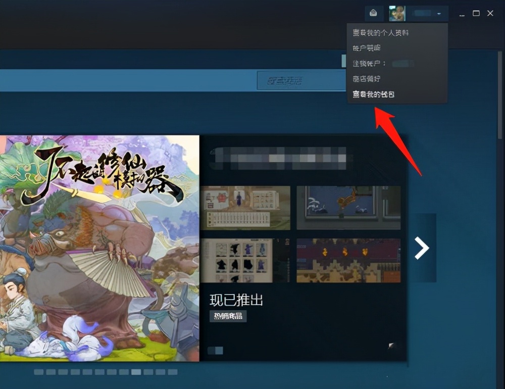 蒸汽平台和steam的钱包,蒸汽平台和steam的区别