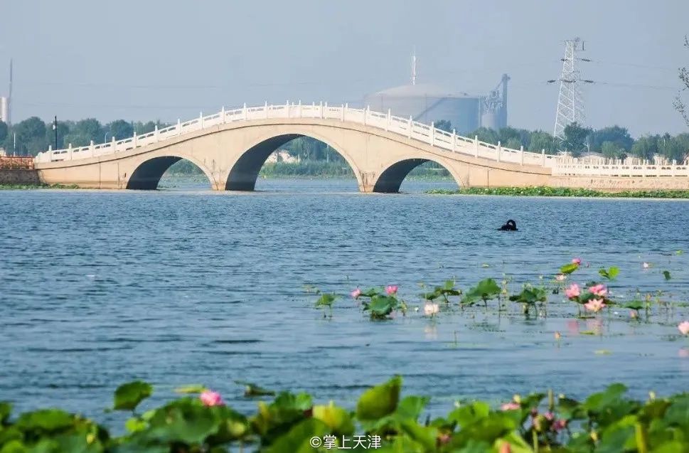 天津基建,天津大基建