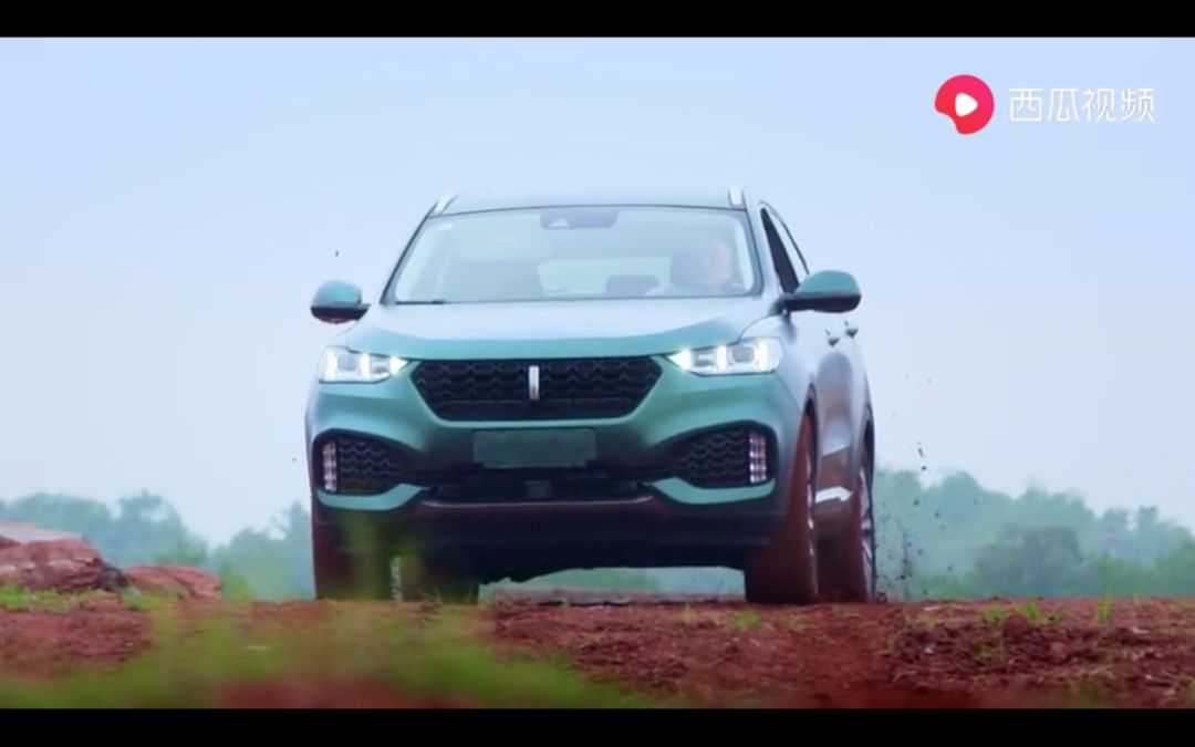 西瓜视频科学探究的七个环节,西瓜视频科技活动