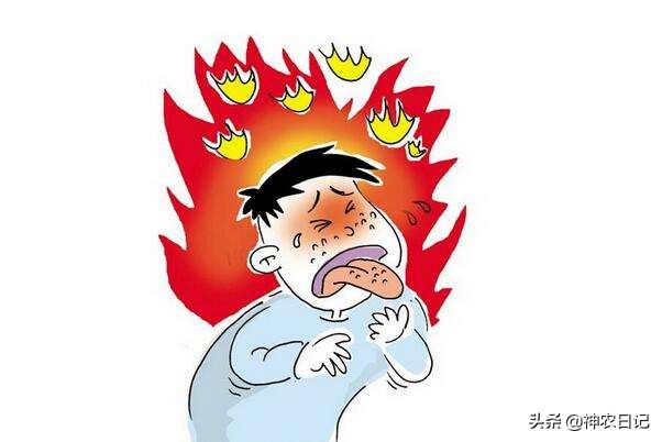 肝火旺目赤肿痛,视物模糊,一个小药方,泻肝火,明目,养肝护肝