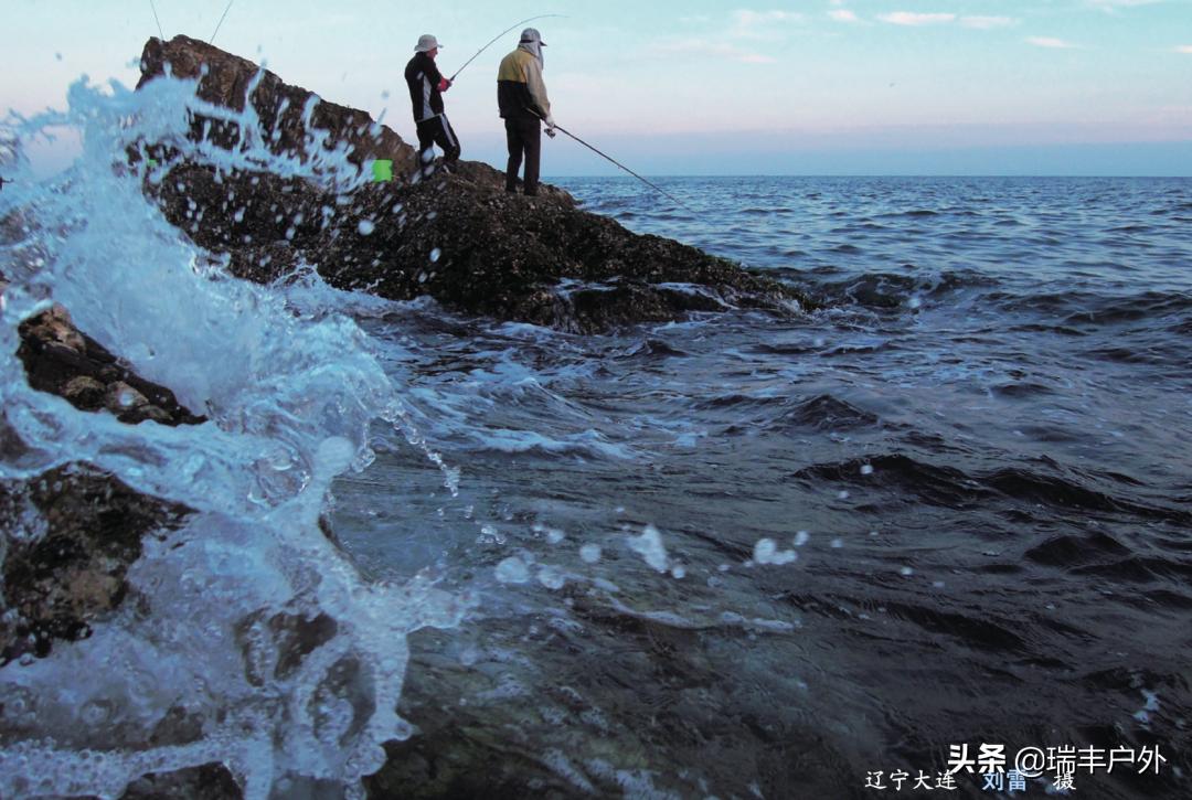 江河入海口如何钓鲈鱼,江河出海口处钓鱼