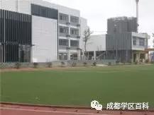 成都锦江四区学区分析,成都学区百科40强