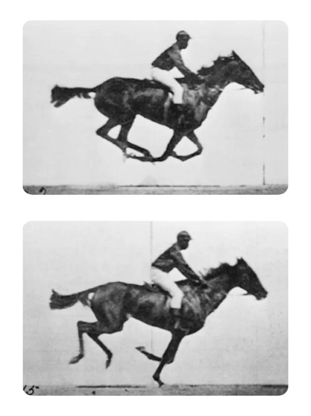 2秒就结束，3天3夜看不完……这几部电影，颠覆认知，99%的人都没看过