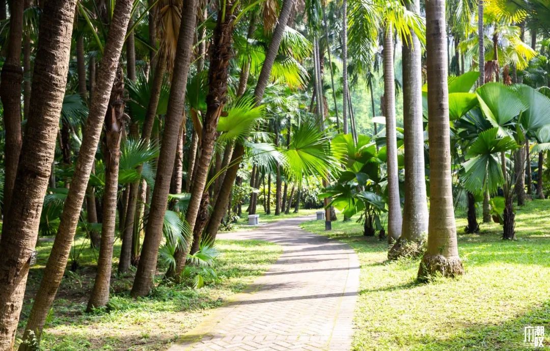 300+万㎡原始森林秘境，天河就有