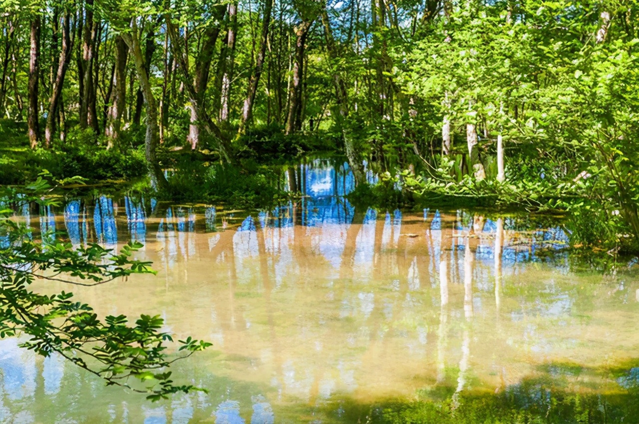 黄山西溪湿地,去西溪湿地