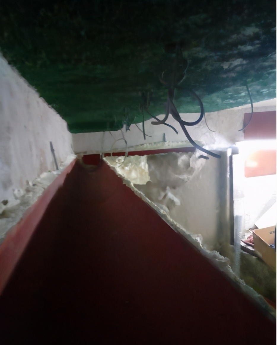 自己做大型水陆缸,在家自己打造一个沙漠缸