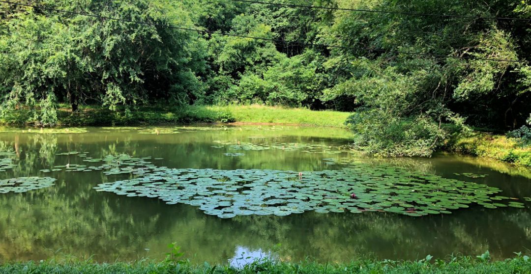 安徽最适合养老的地方,安徽适合养老低消费城市