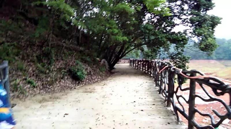 三明大金湖导游词400字,大金湖的景区导游介绍