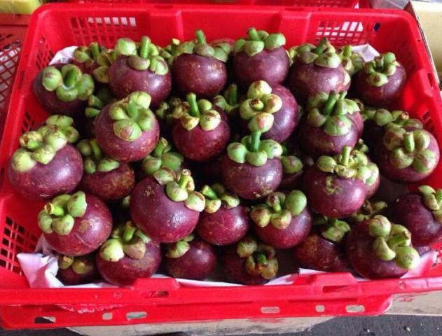 山竹怎么挑选果核少的,山竹怎么挑选5公6母