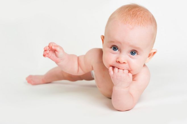羊奶粉和牛奶粉哪个口味接近母乳,羊奶粉和牛奶粉哪个更适合老年人