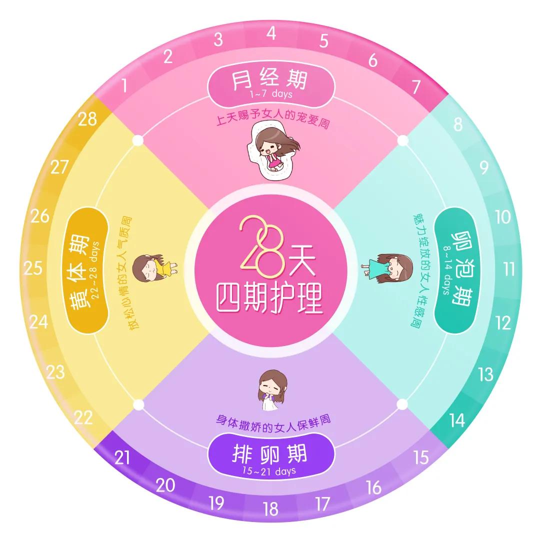 专家直播女人28天的秘密~快来一起探秘