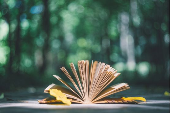 mpa公共管理硕士非全日制学什么,在职工商管理硕士与mpa区别