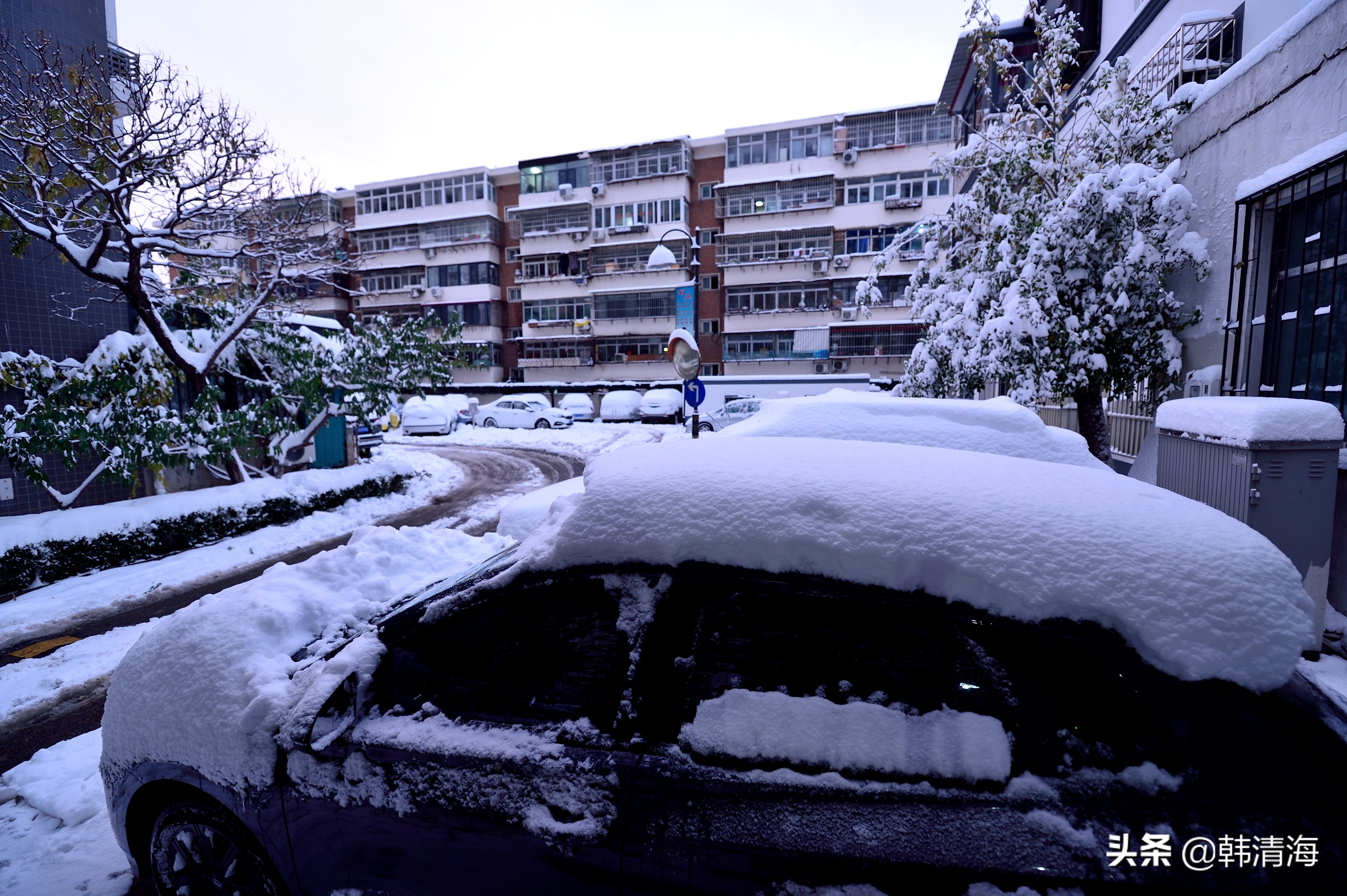 2021天津第一雪水畔花园小区装扮得更加圣洁和美丽