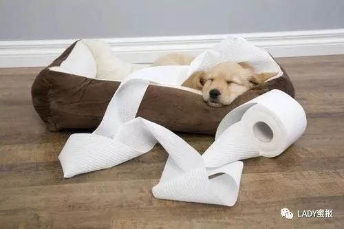 劣质纸巾特征有哪些呢,远离这样的劣质纸巾