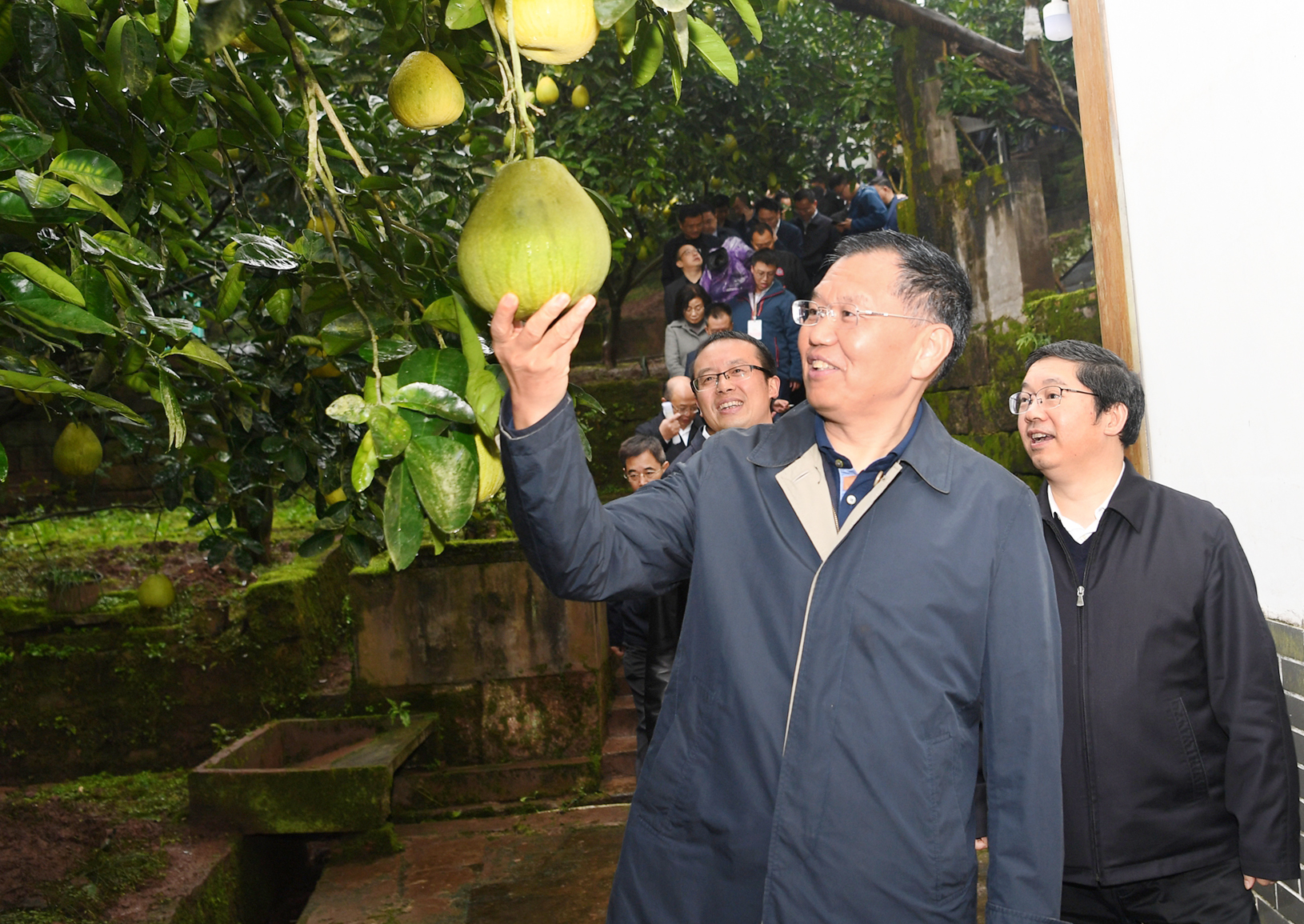 一只果，一座城！品尝龙安柚，爱上金广安