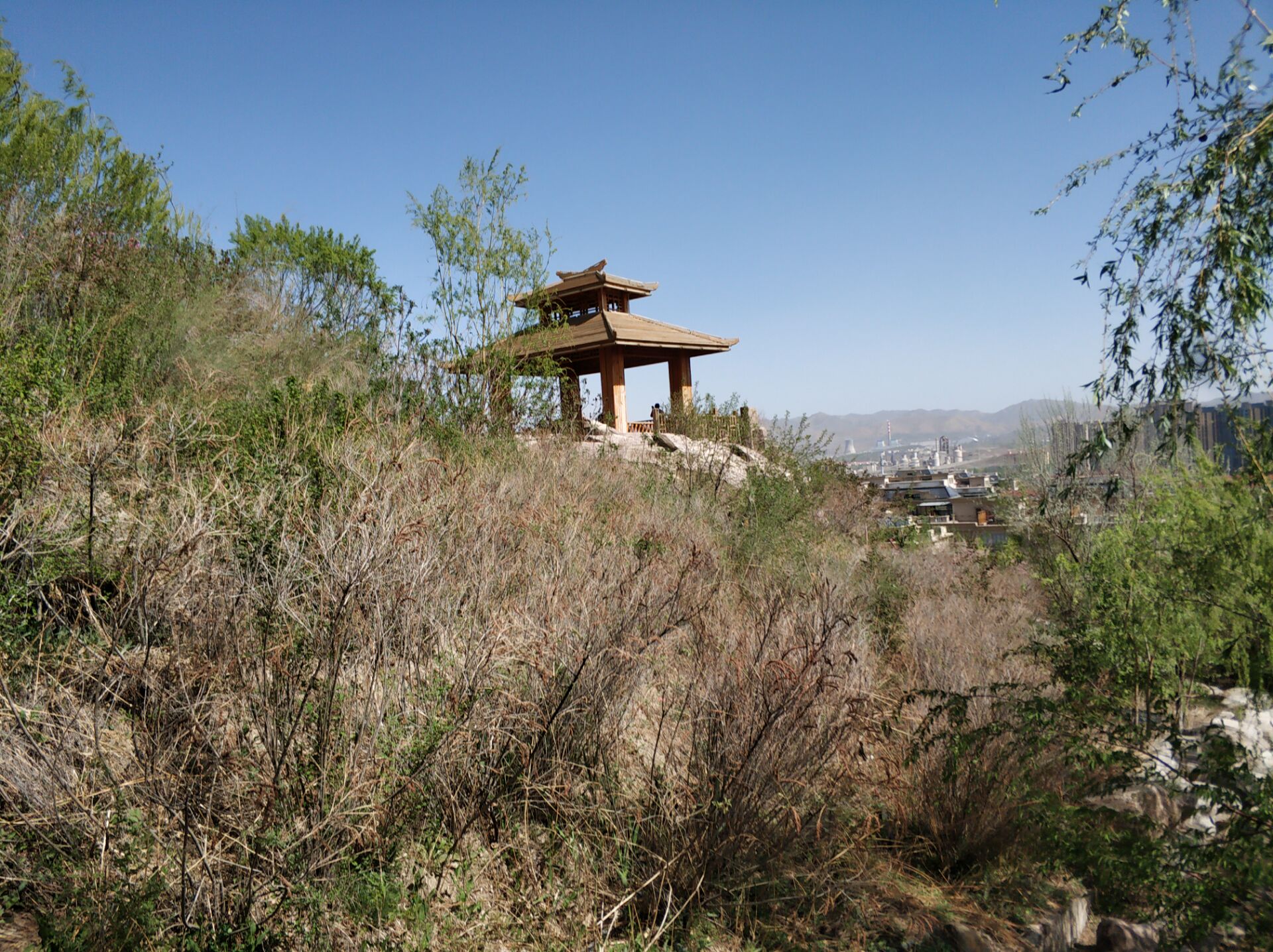 乌鲁木齐居然有这么漂亮的地方,乌鲁木齐周边森林公园在哪里
