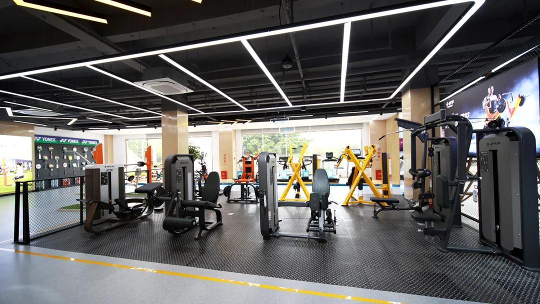 舒华全国体育中心最大旗舰店：健身个性化定制，打造健康生活