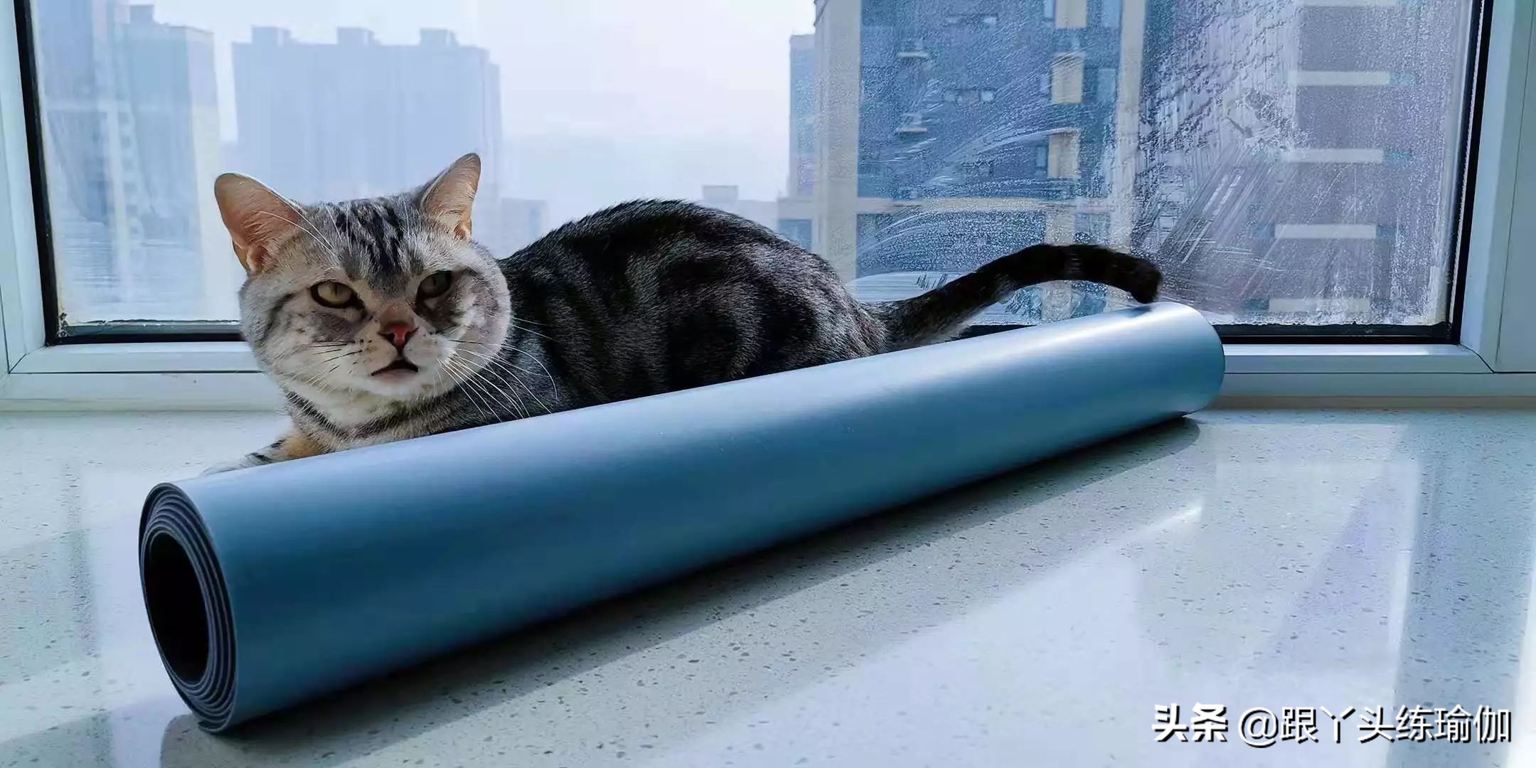 天然橡胶瑜伽垫清洗方法,橡胶瑜伽垫可以水洗吗