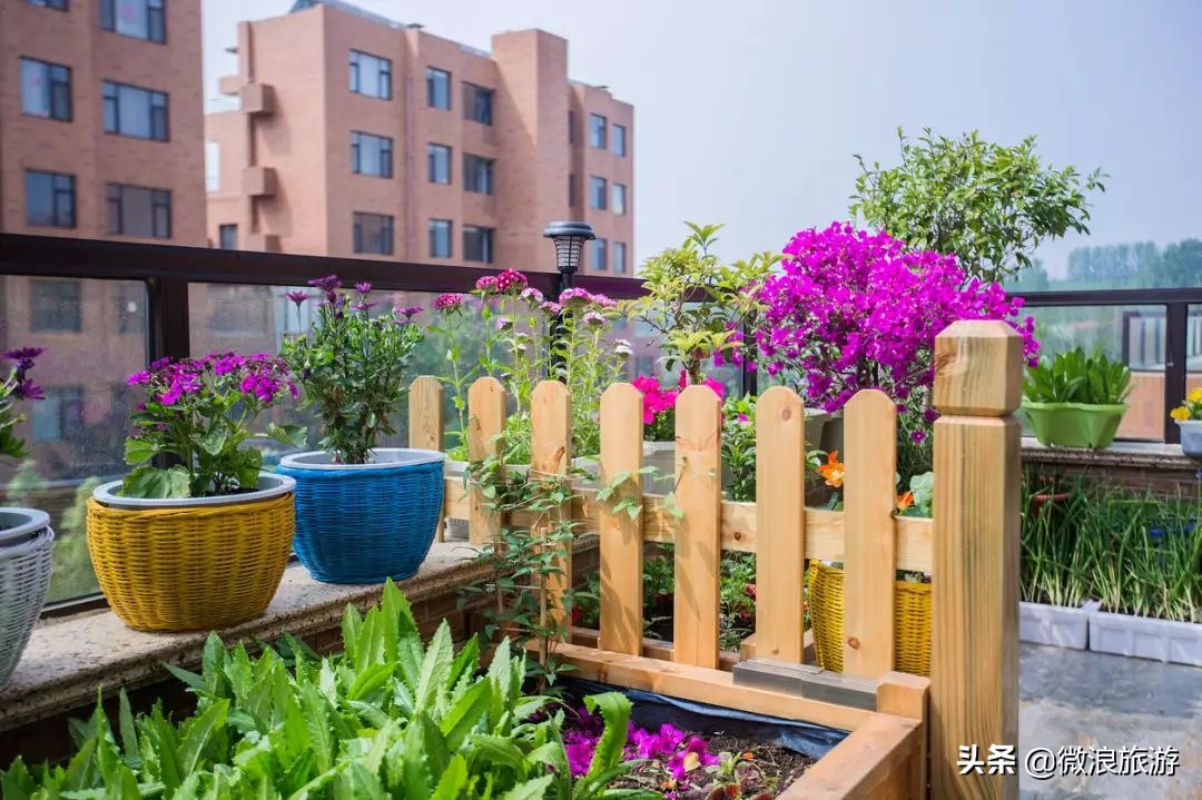 白鹭湾的“选美大赛”，谁是你心中最美的“姑娘”