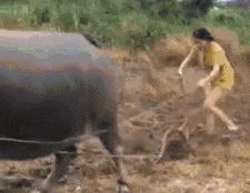 搞笑gif开心一刻不按常理出牌,搞笑gif趣图哥们别拍马屁很危险的