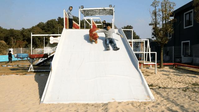 汪汪汪~宁波首家宠物主题乐园登陆江北，铲屎官们走起